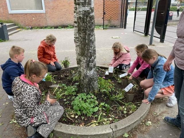 Communityschool In de Breedte